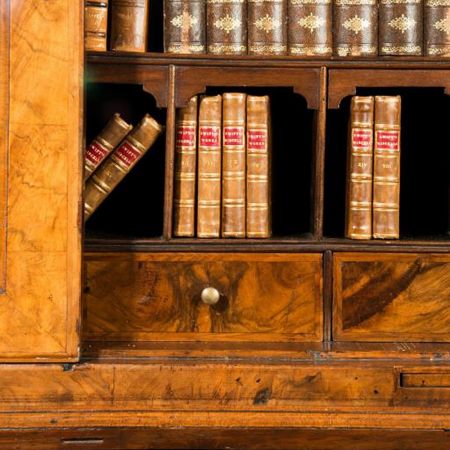 Antiker Englischer Bücherschrank aus massivem Maser- und Wurzelnussholz