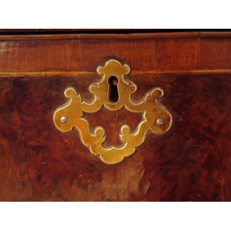 Georgianischer Tallboy aus Eibenholz und Maserknollenholz Massivholz um 1730 antik