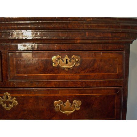 Georgianischer Tallboy aus Eibenholz und Maserknollenholz Massivholz um 1730 antik