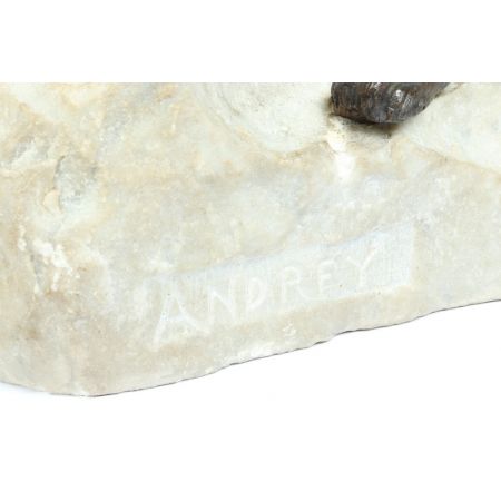 Bronzetiger auf einem Felsen von James Andrej - Frankreich c1920