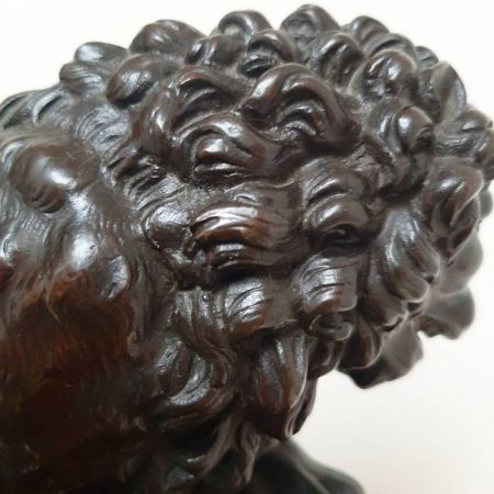 Antiker Grand Tour Medici Löwe aus Bronze auf Mahagonisockel um 1860