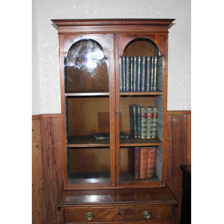 Kleiner schmaler Bücherschrank aus Mahagoni und Satinholz aus dem 19. Jahrhundert