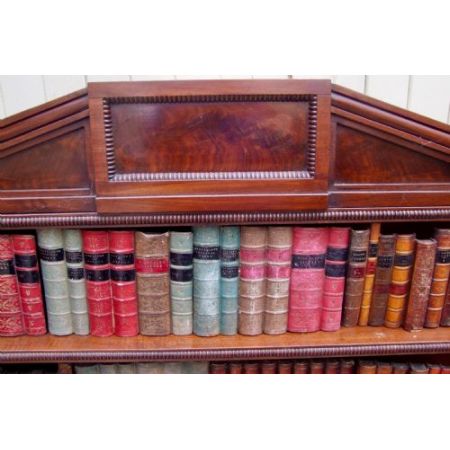 Antikes Wasserfall Bücherregal aus Mahagoni aus der Zeit  William IV