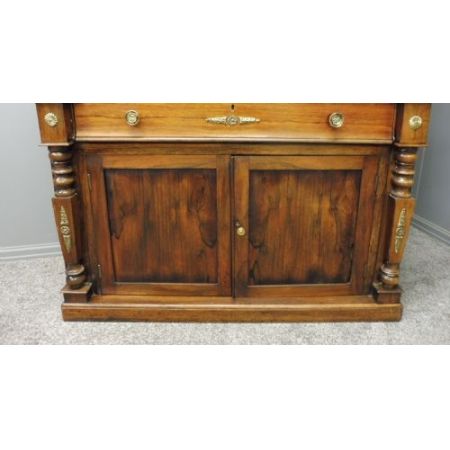 Antiker Bücherschrank aus Palisander aus dem 19. Jahrhundert