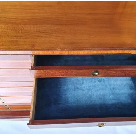 Hochwertiger Sheraton Zeit Kabinett Sammlerschrank Bücherschrank Aus Massivem Satinholz, 19. Jahrhundert