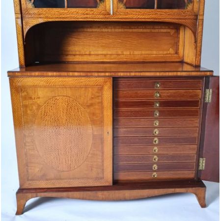Hochwertiger Sheraton Zeit Kabinett Sammlerschrank Bücherschrank Aus Massivem Satinholz, 19. Jahrhundert