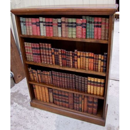 Antikes Edles Massivholz Mahagoni Bücherregal aus dem 19. Jahrhundert