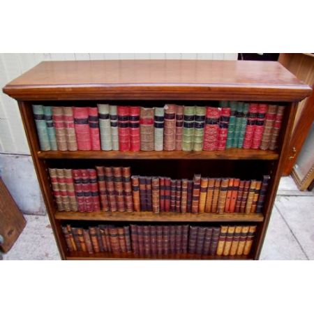 Antikes Edles Massivholz Mahagoni Bücherregal aus dem 19. Jahrhundert