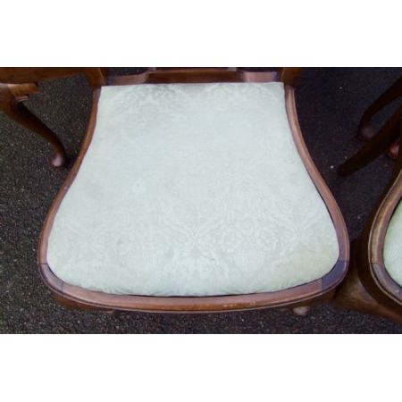 Antikes Set mit sechs Esszimmerstühlen mit Muschelschnitzereien auf der Rückseite