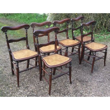 Antiker Satz von sechs Palisander Seitenstühlen um 1820