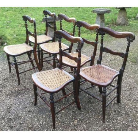 Antiker Satz von sechs Palisander Seitenstühlen um 1820