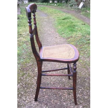 Antiker Satz von sechs Palisander Seitenstühlen um 1820