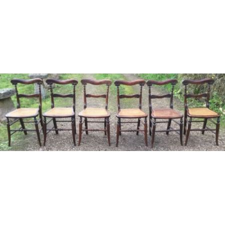 Antiker Satz von sechs Palisander Seitenstühlen um 1820