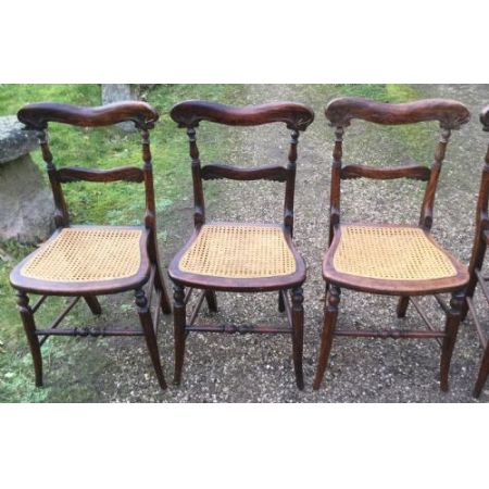 Antiker Satz von sechs Palisander Seitenstühlen um 1820