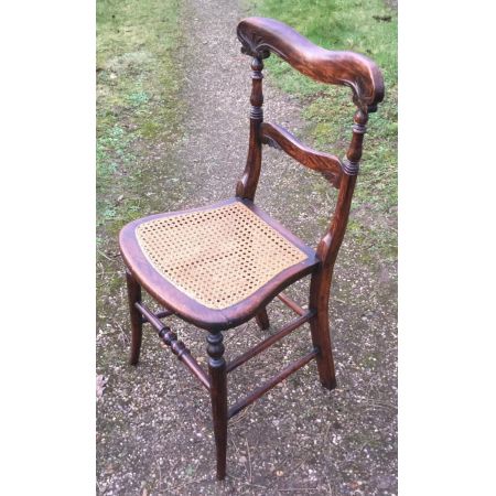 Antiker Satz von sechs Palisander Seitenstühlen um 1820