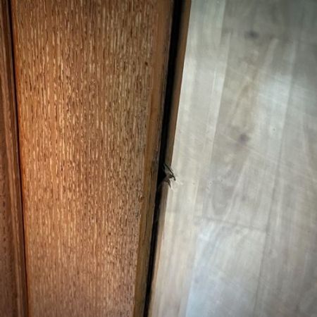 Großer antiker Kleiderschrank im Kunsthandwerksstil