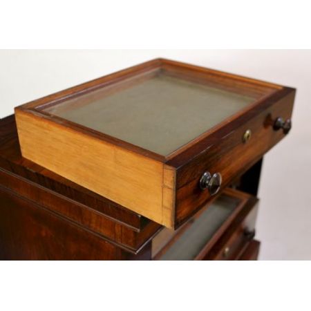 Early victorian Wellington Kommode Rosewood Massivholz