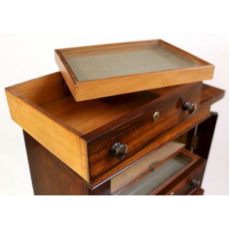 Early victorian Wellington Kommode Rosewood Massivholz