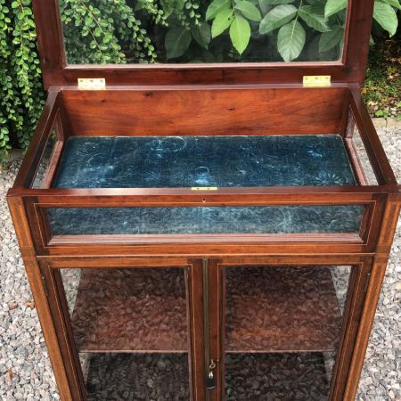 edwardianische Vitrine