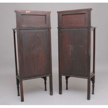 Paar Mahagoni-Vitrinen aus 1920