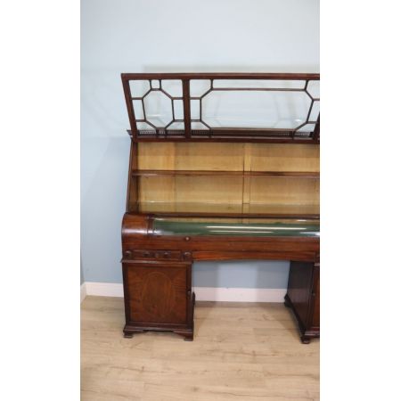 Ungewöhnliche Vitrine mit zwei Sockeln