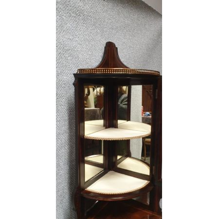 hochwertige Vitrine aus Palisander