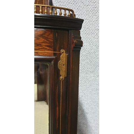 hochwertige Vitrine aus Palisander