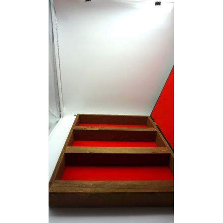Prachtvoller Druck im Goldrahmen/Box Junge mit Hund