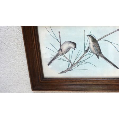 Holzrahmen mit schönem Vogelmotiv  Vintage