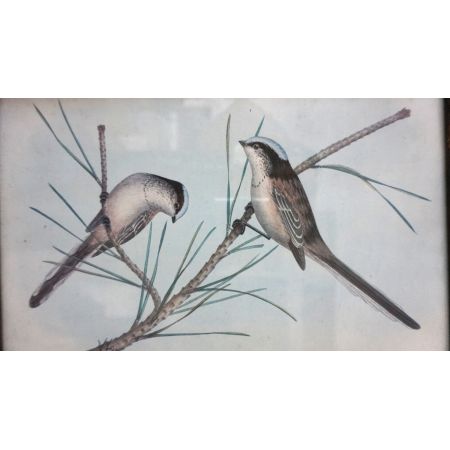 Holzrahmen mit schönem Vogelmotiv  Vintage