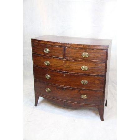   englische Kommode  Bow Front chest  Mahagoni