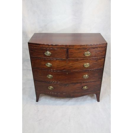   englische Kommode  Bow Front chest  Mahagoni