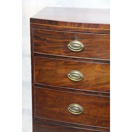   englische Kommode  Bow Front chest  Mahagoni