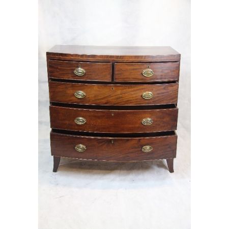   englische Kommode  Bow Front chest  Mahagoni