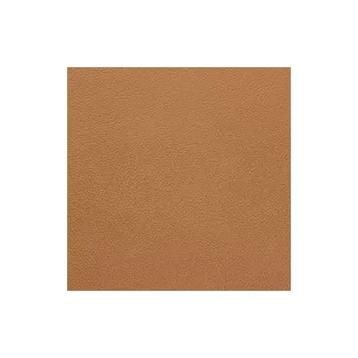 Lederprobe Selvaggio Parchment