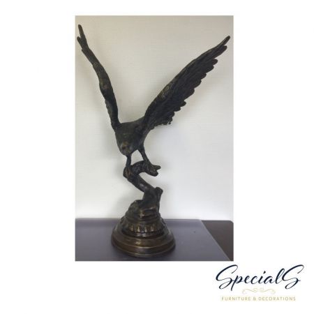 "Adler auf Astspitze"