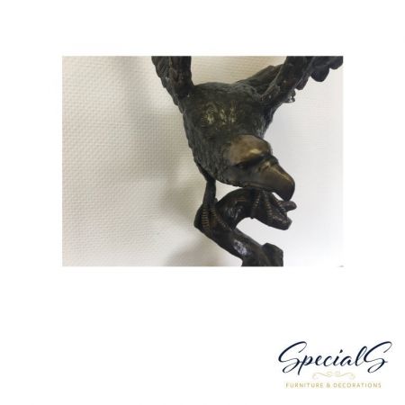 "Adler auf Astspitze"