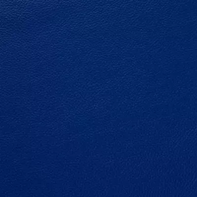 Shelly Deep Ultramarine