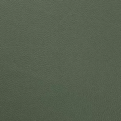 Shelly Lichen Green