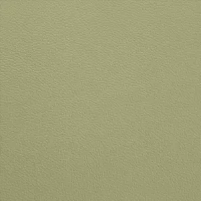 Shelly Thyme Green