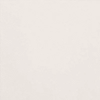 Shelly Winter White