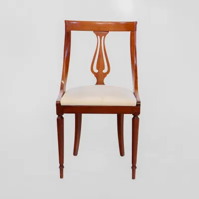 Mahgoni Stühle 6er Satz feiner neuer Bezug Patina