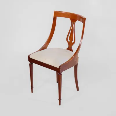 Mahgoni Stühle 6er Satz feiner neuer Bezug Patina