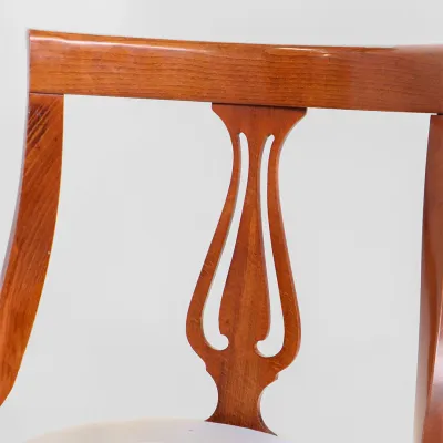 Mahgoni Stühle 6er Satz feiner neuer Bezug Patina