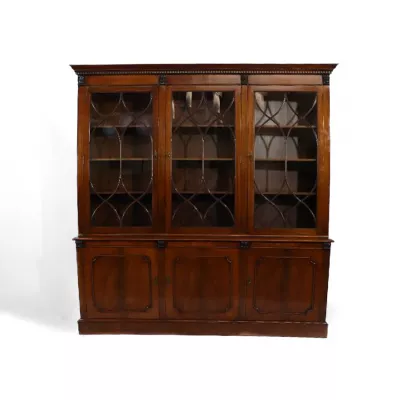 Bookcase Vitrinenschrank Goth verglasung