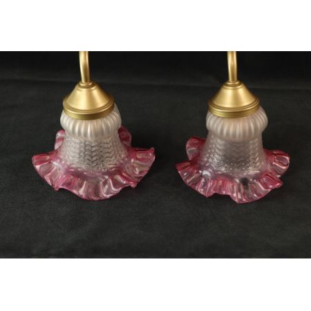 Wandlampe  Paar Frankreich Tulpen