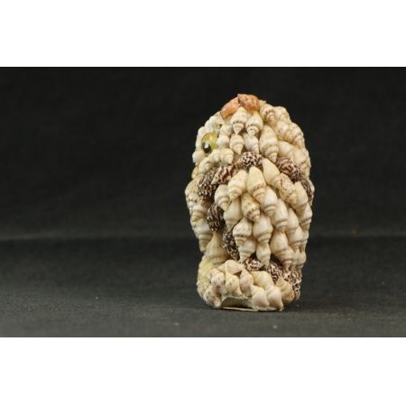 Figur Eule aus Muscheln  France