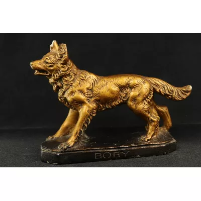 Statur Schäferhund Gold