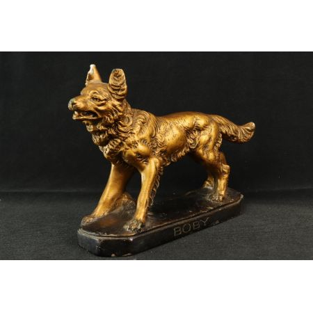 Statur Schäferhund Gold