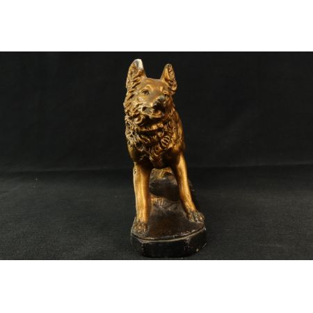 Statur Schäferhund Gold